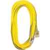 50 12/3 Extension Cord 