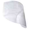 Face Shield 