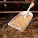 Ames, #2682700 Poly Scoop D-Handle - 145-2682700