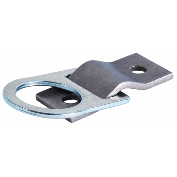 Guardian D-Ring, 2-Hole Anchor Plate