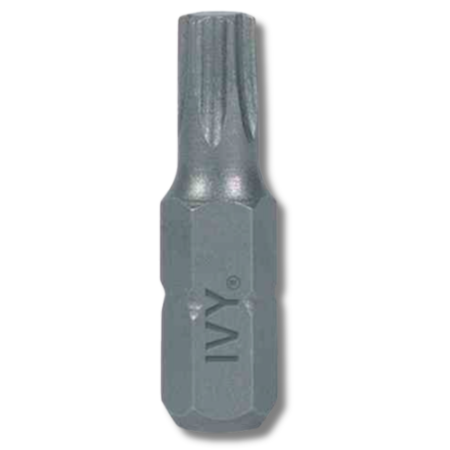 Ivy Classic - Torx Insert Bit 1 inch T10