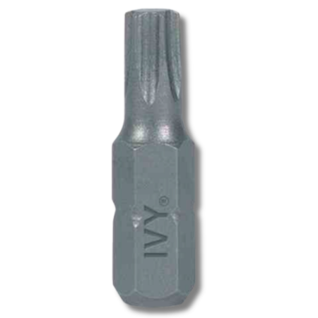Ivy Classic - Torx Insert Bit 1 inch T6