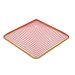 Leading Edge Safety SN-6-6 - Raptor SKYNET 6 ft. x6 ft.  Skylight Fall Protection System - AES-SN-6-6