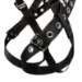 Safewaze V-Select Full Body Harness - 1D, Quick-Connect Chest, Tongue Buckle Legs - 