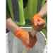 Eppco, Tiger Grip Hi-Vis Powder Free Gloves 90/Pk
