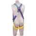 Capital Safety AB17530 - Protecta First 5-Point Harness – XL