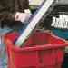 AJC 070-RMS Rolling Magnetic Sweeper - 30" Rolling Magnet with 7" Wheels and Load Release