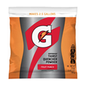 ##HTMLENCODE[Gatorade, #33691 Thirst Quencher,  Fruit Punch Flavored Drink Mix, 21 oz.]##