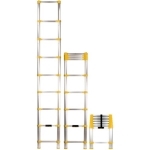 Telescoping Extension Ladders